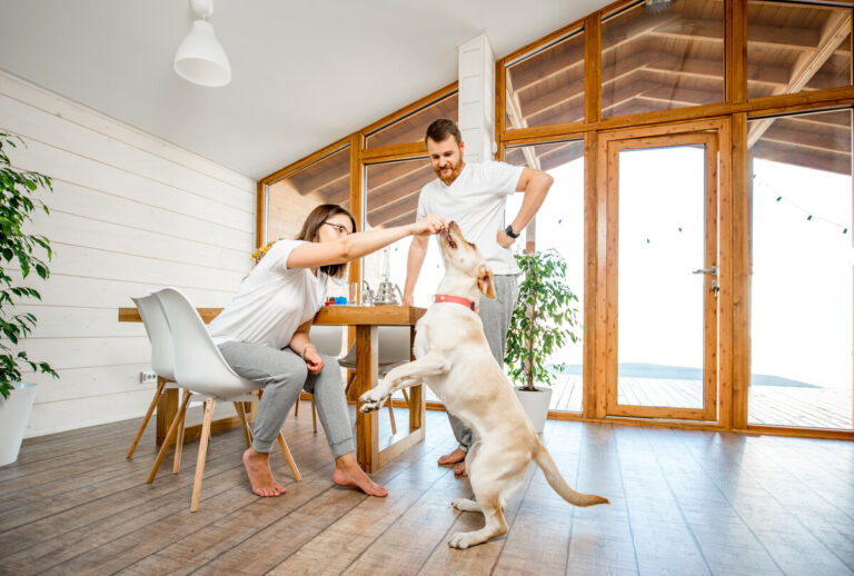 Sterling Manor neighborhood